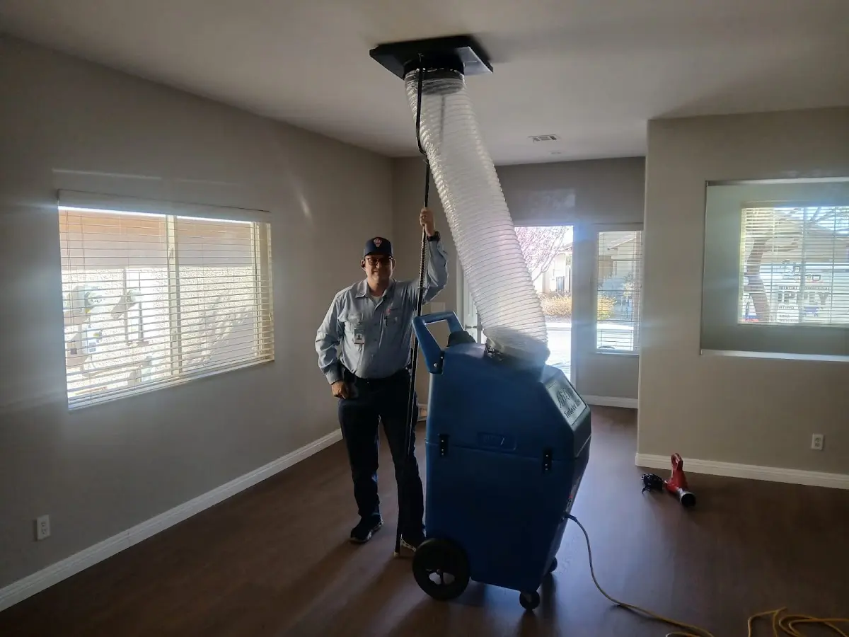 Professional Dryer Vent Cleaning work inside a Carbondale home